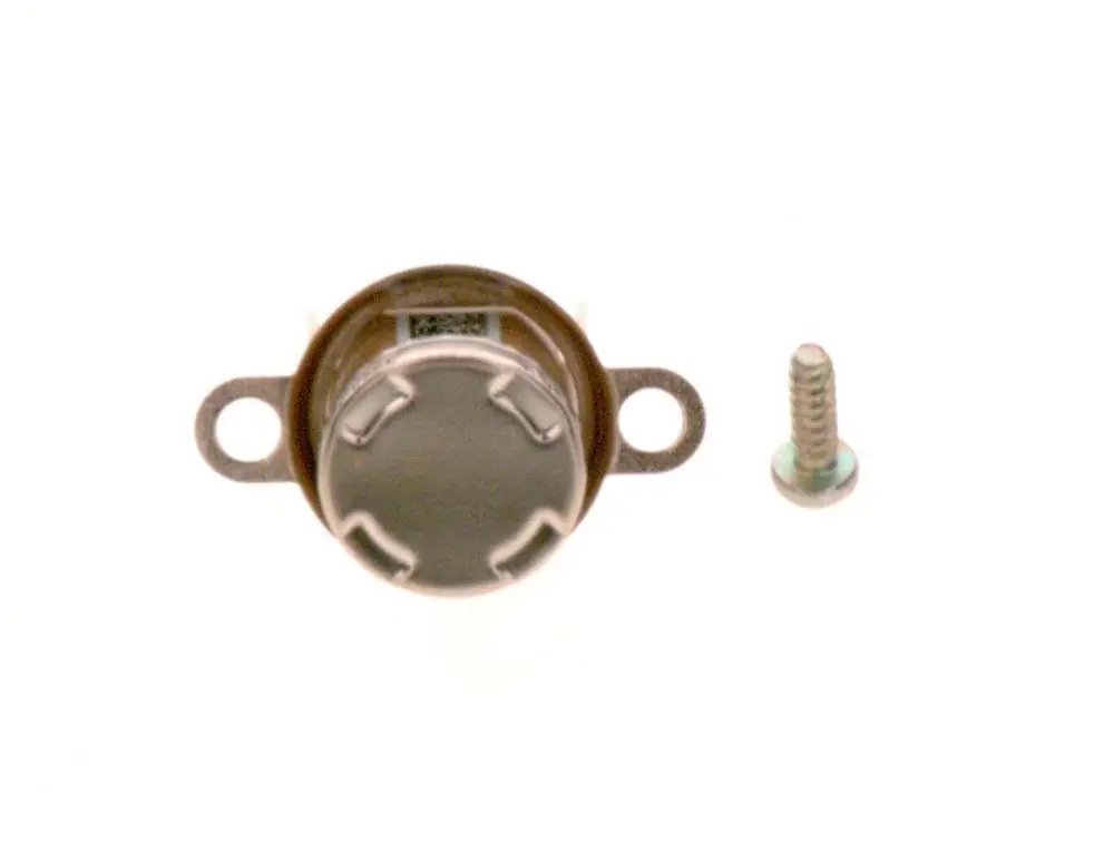 BOSCH Temperaturfühler mit runder Metalloberfläche und zwei Befestigungslöchern, daneben eine Schraube.